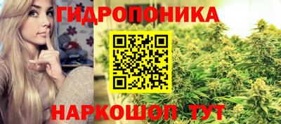 стафф Северобайкальск