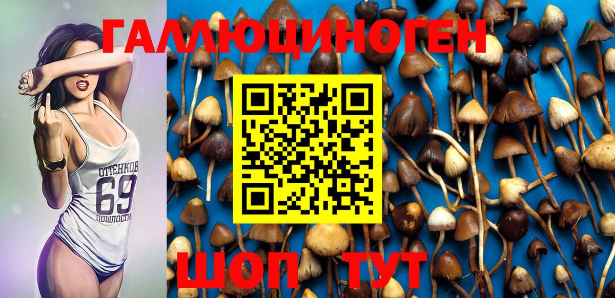 Галлюциногенные грибы MAGIC MUSHROOMS  Вход с VPN  Пугачёв 