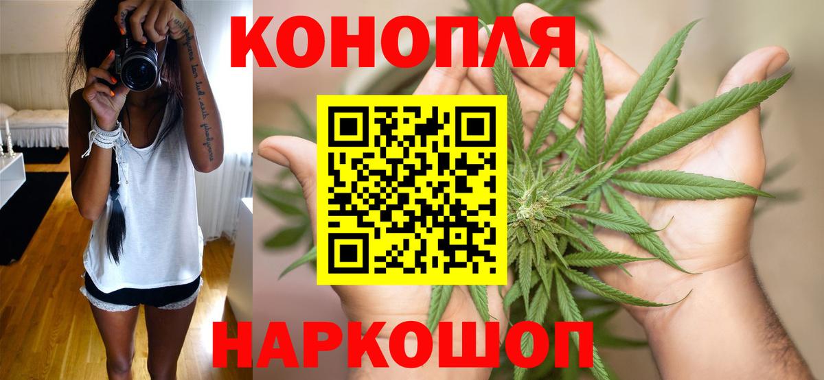 Пугачёв  Марихуана план  Вход с VPN  Каннабис AK-47  Бошки Шишки сатива 